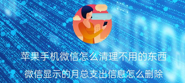 苹果手机微信怎么清理不用的东西 微信显示的月总支出信息怎么删除？